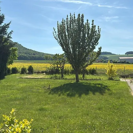 Haus Lerchenweg B * Bad Wildungen