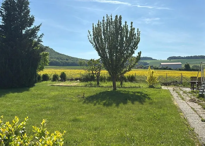 Haus Lerchenweg B * Bad Wildungen